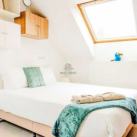 Apartment Duplex Vip Jacuzzi A 15min De Disneyland Paris Et 1h De Paris Quincy-Voisins